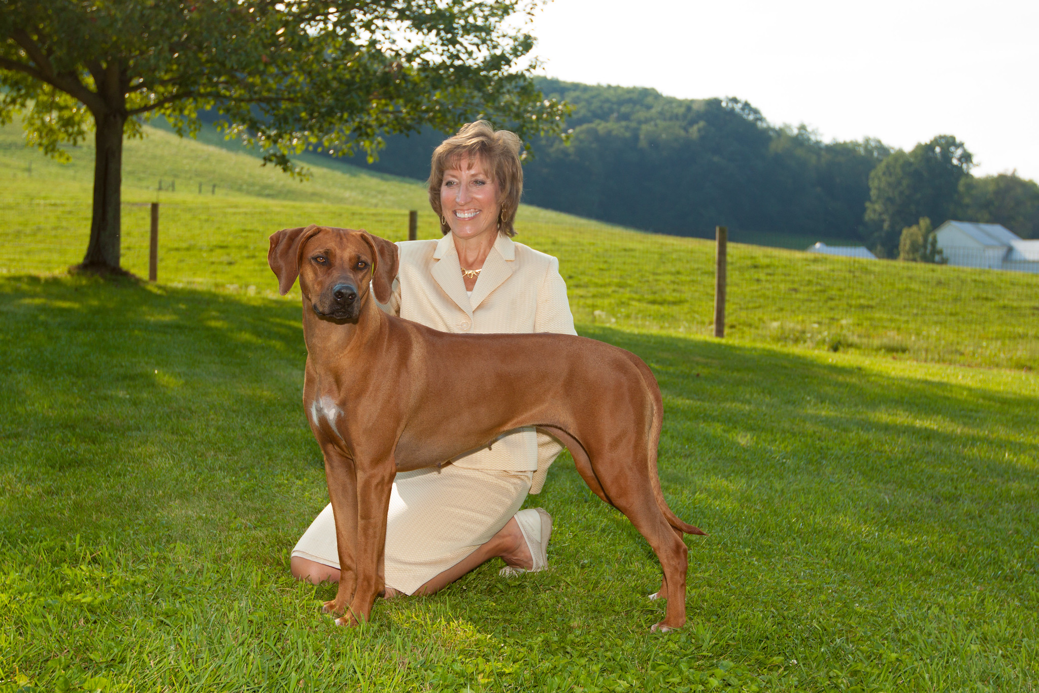 Dog Show Photography by Michael Lofenfeld