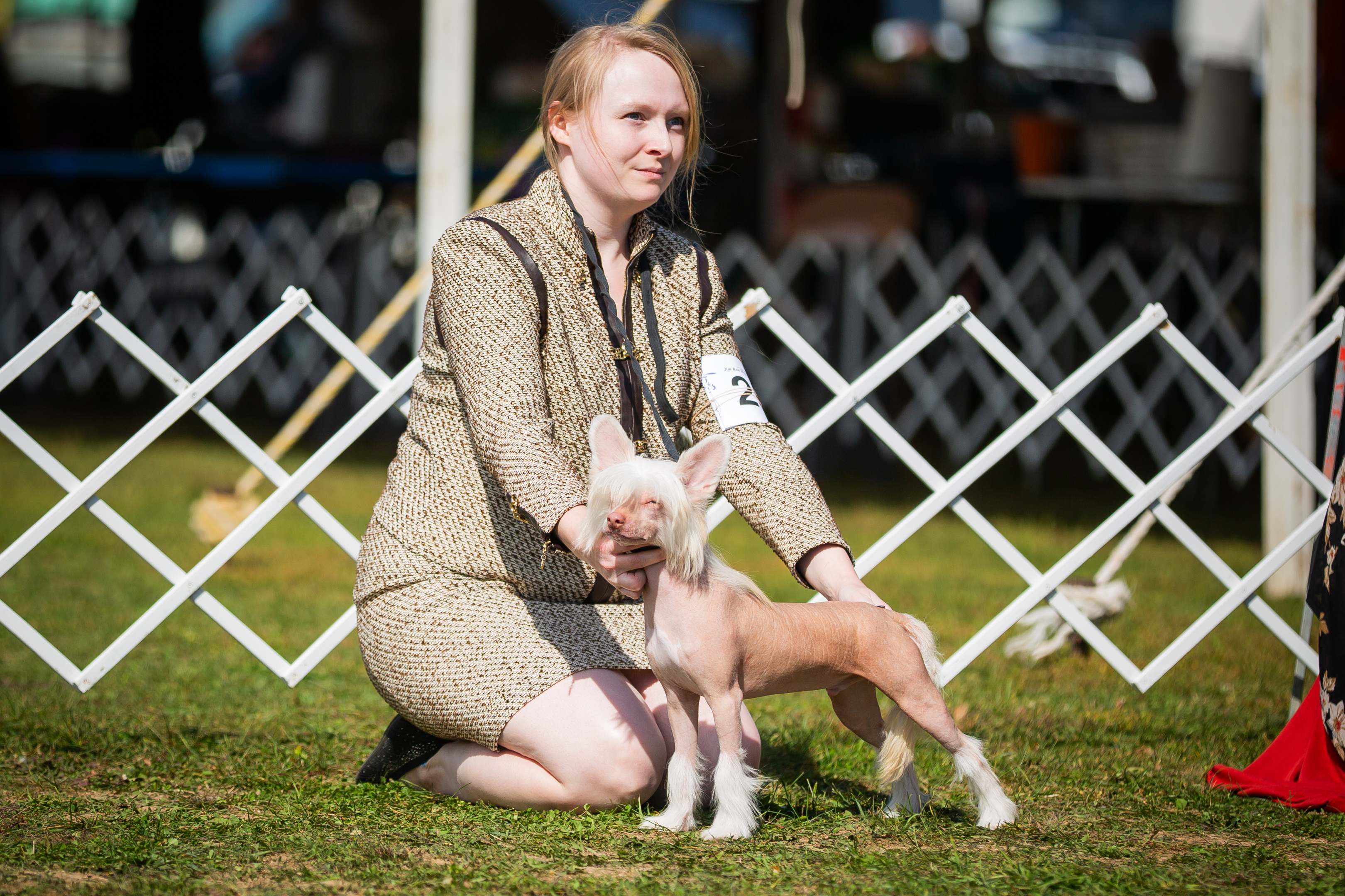 Dog Show Photography by Michael Lofenfeld